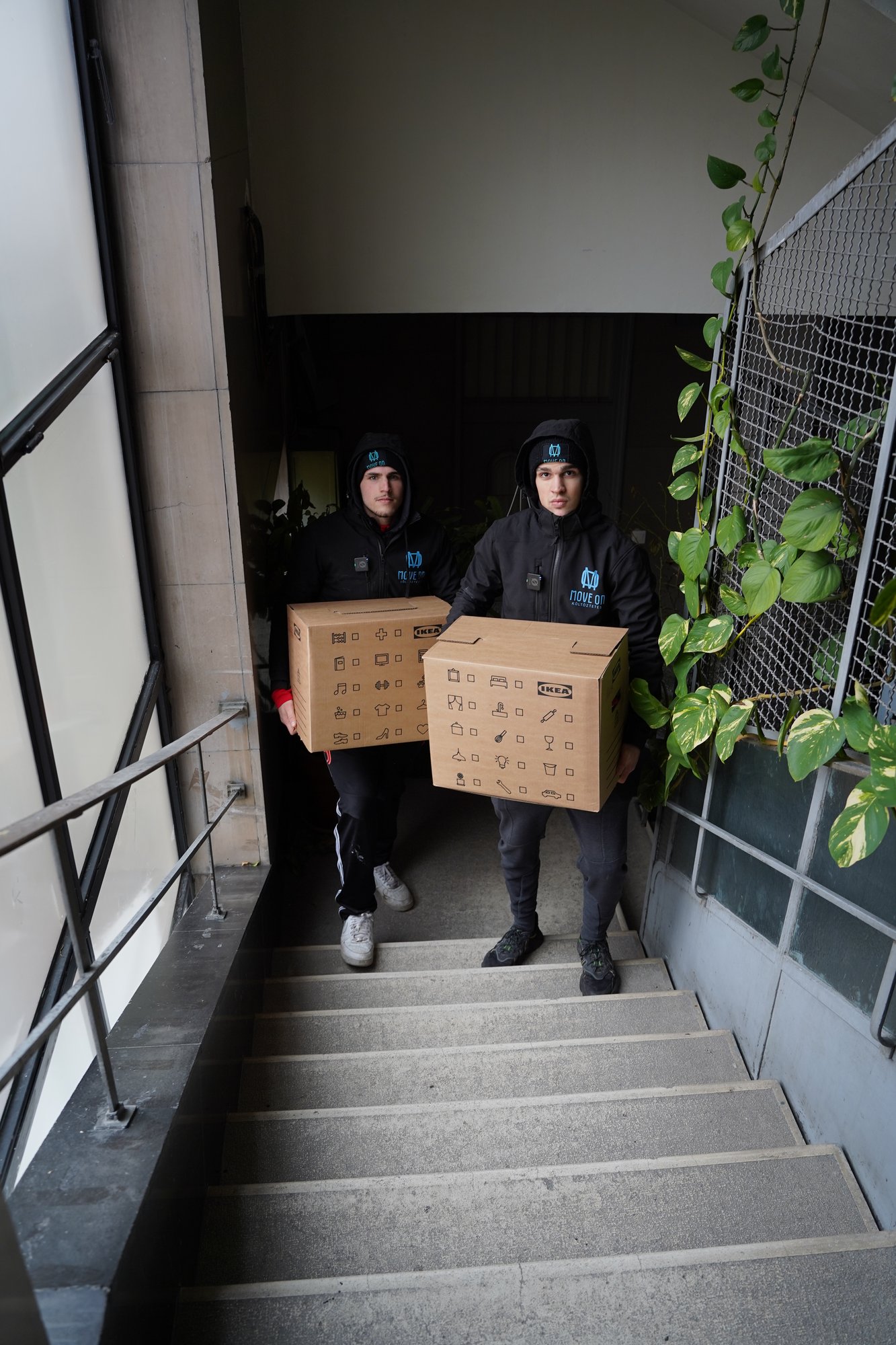 Move-ON kolléga dobozokat cipel egy bejárati folyosón